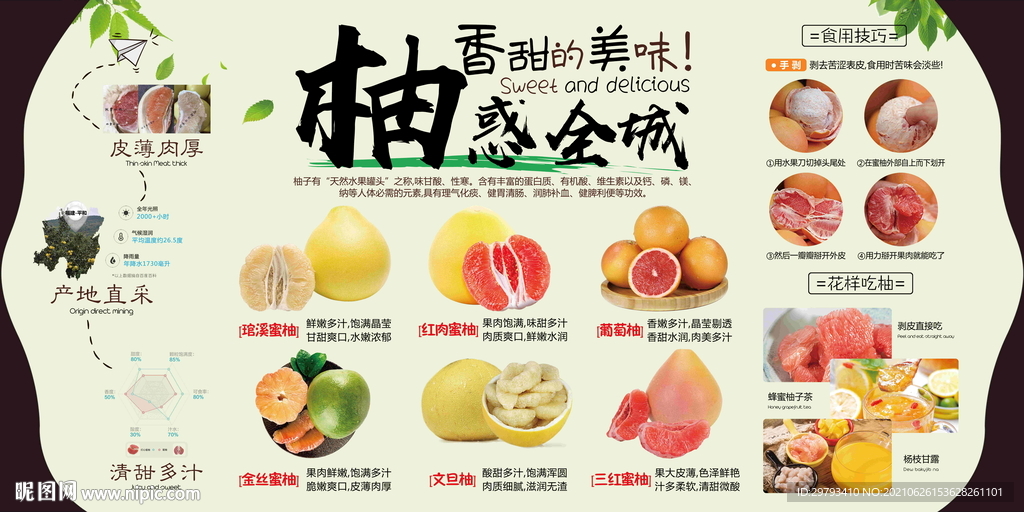 柚子水果吊牌