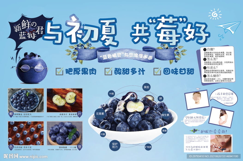 蓝莓店教