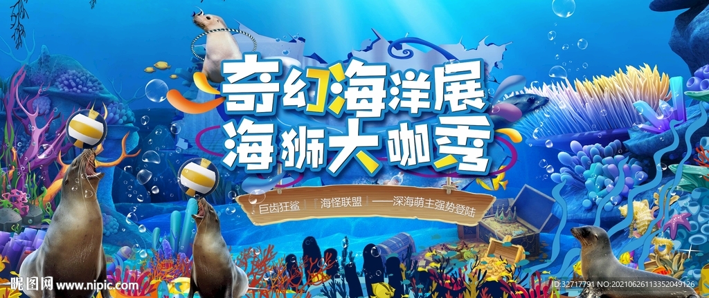 海狮活动图片