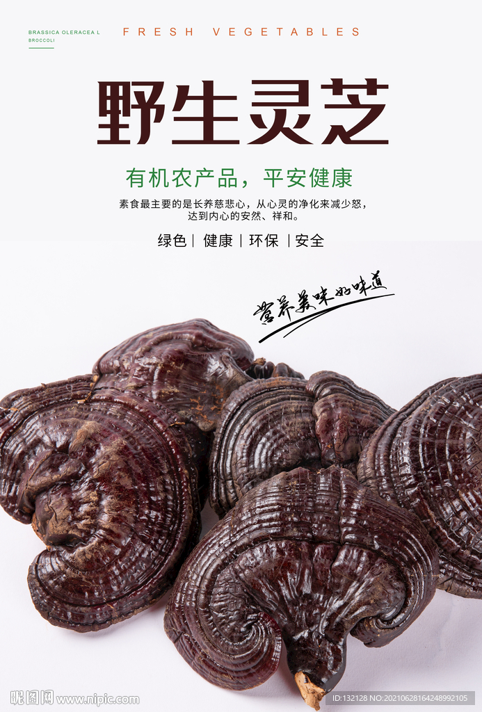 野生灵芝海报