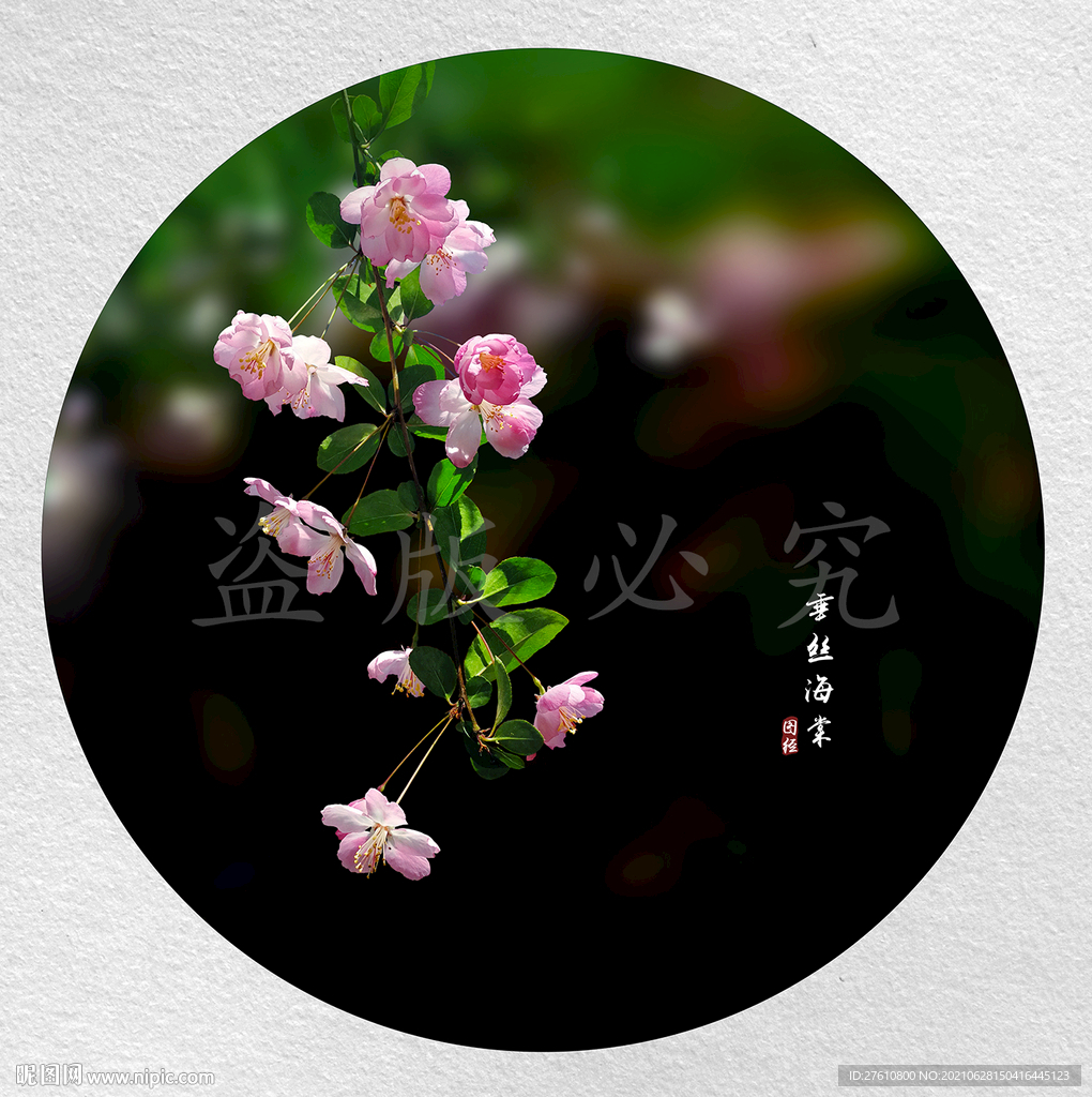 垂丝海棠