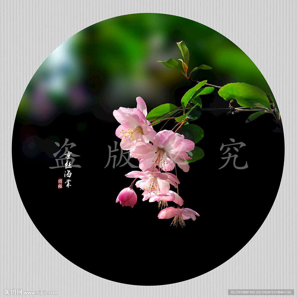 垂丝海棠