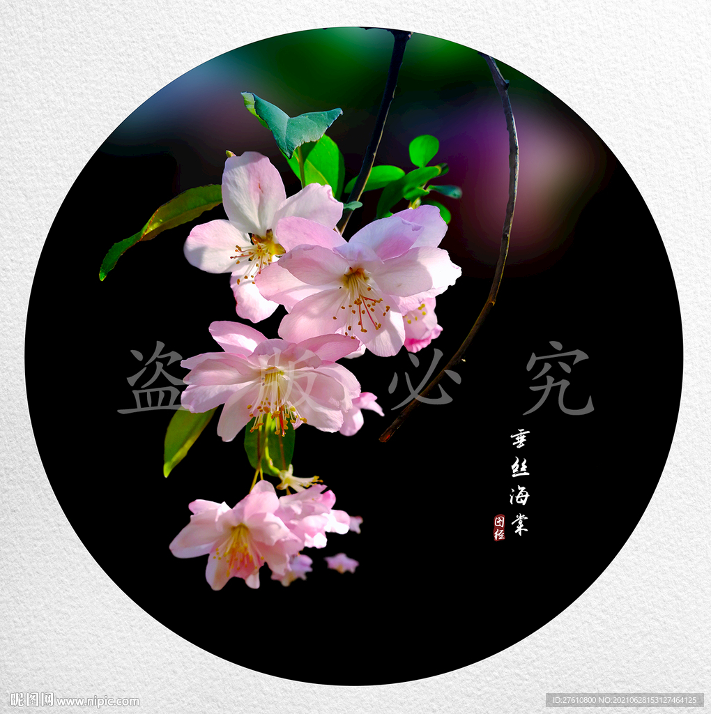 垂丝海棠