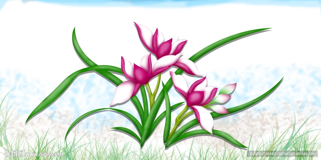 兰花psd分层图片