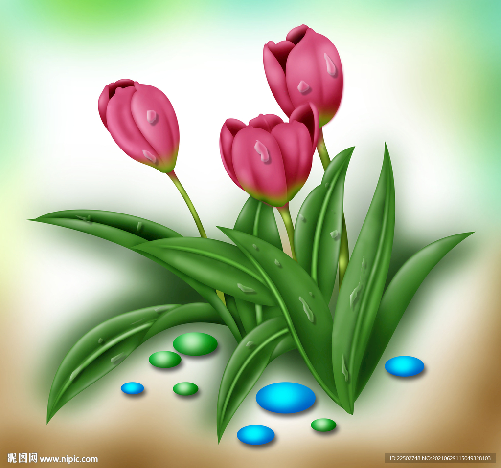 郁金香psd分层图片