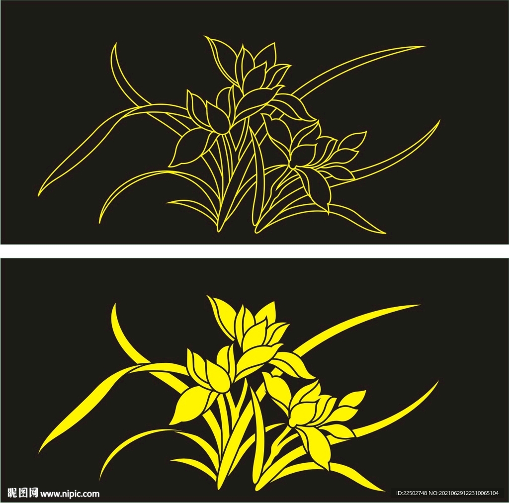 矢量兰花图片素材