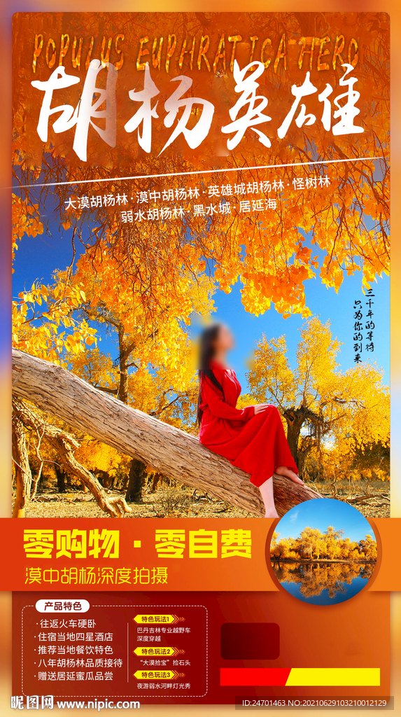 胡杨英雄