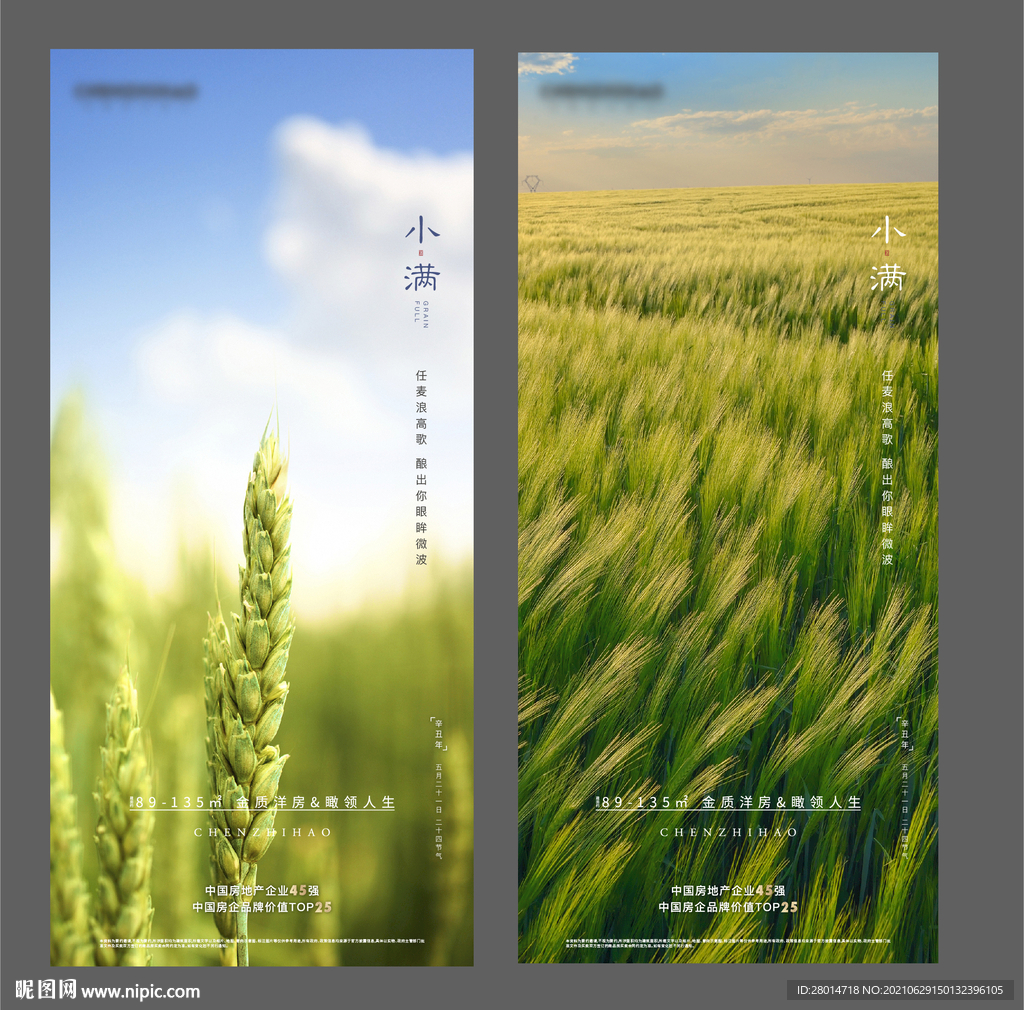 小满节气海报