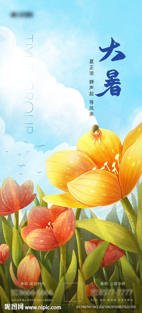 大暑 绚烂花