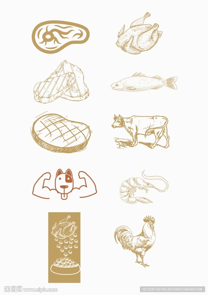 线条动物