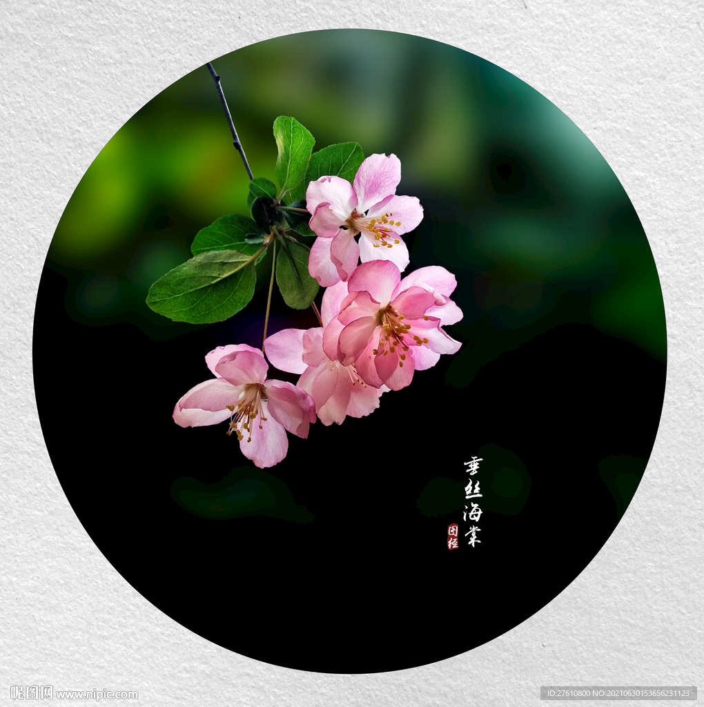 垂丝海棠