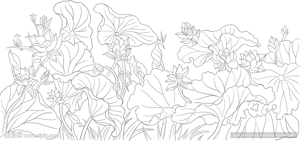 荷花