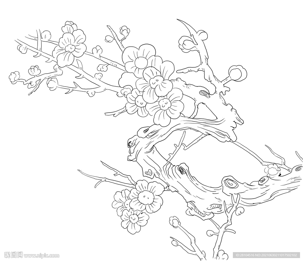 梅花