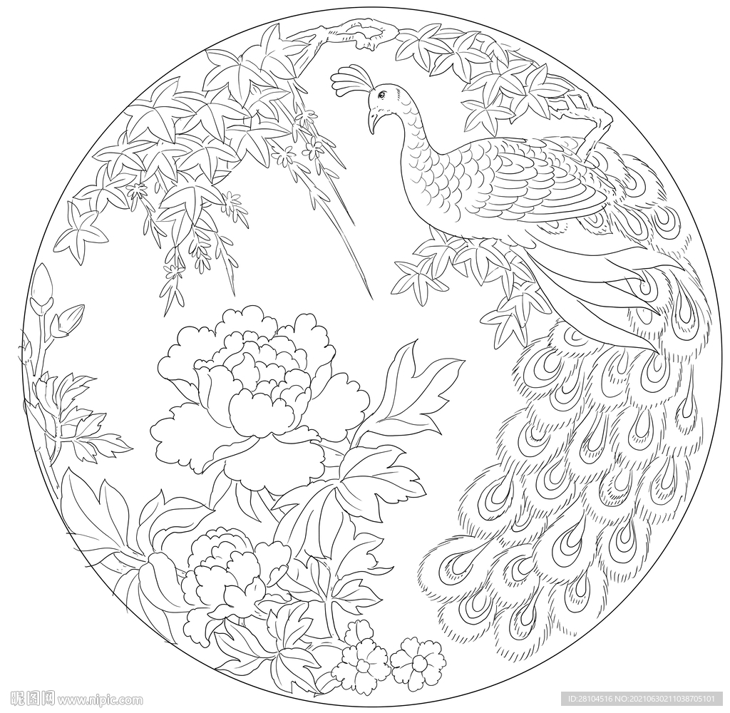 花鸟