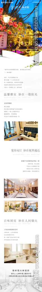 公众号 