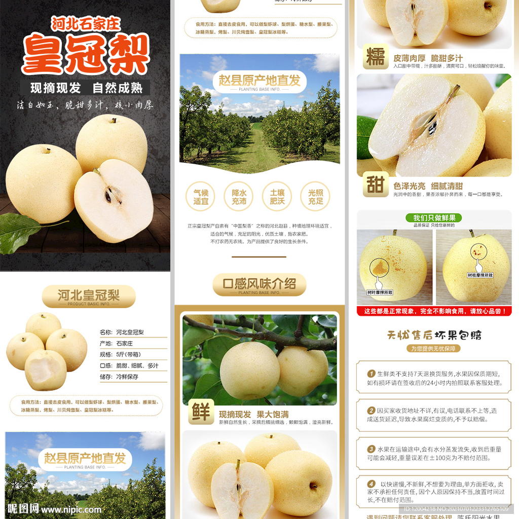 皇冠梨详情