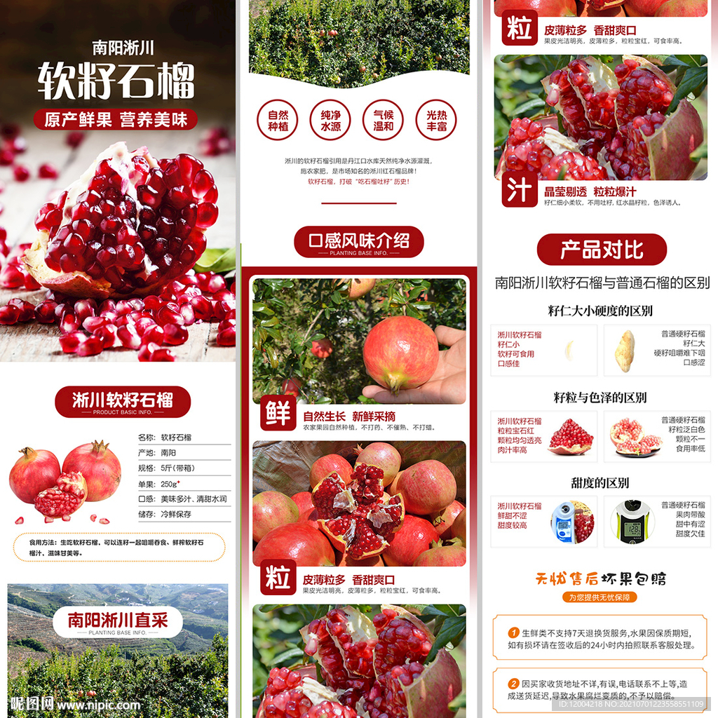 南阳石榴详情