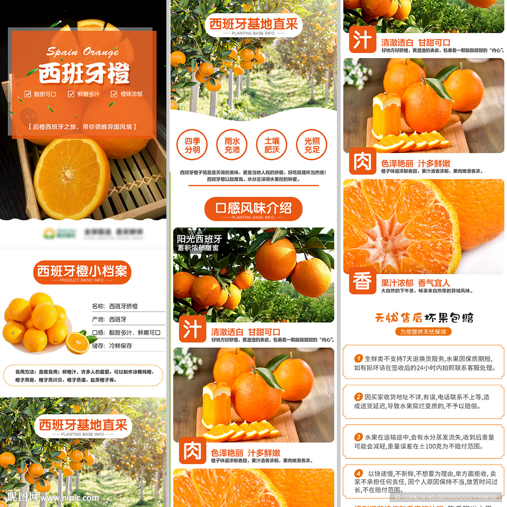 西班牙橙子