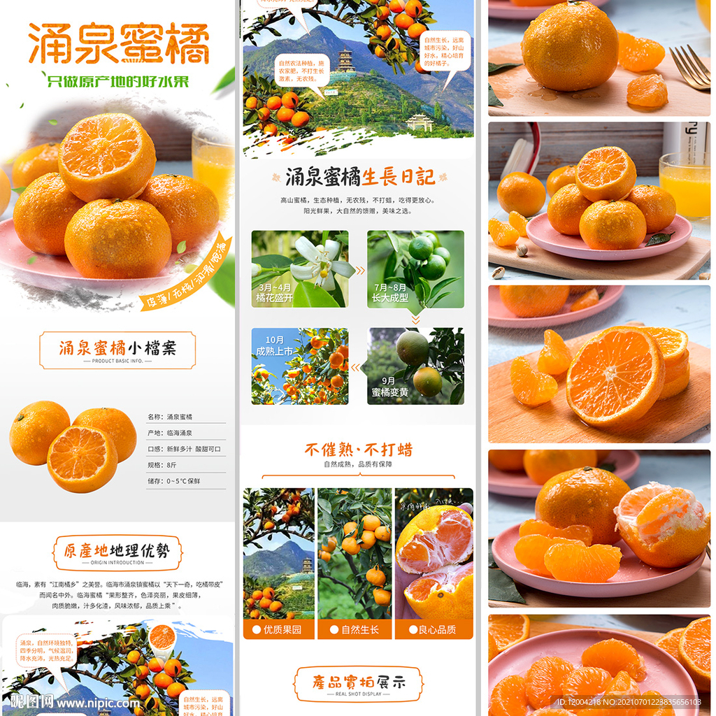 涌泉蜜橘.详情页 psd