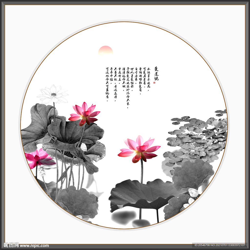 荷花