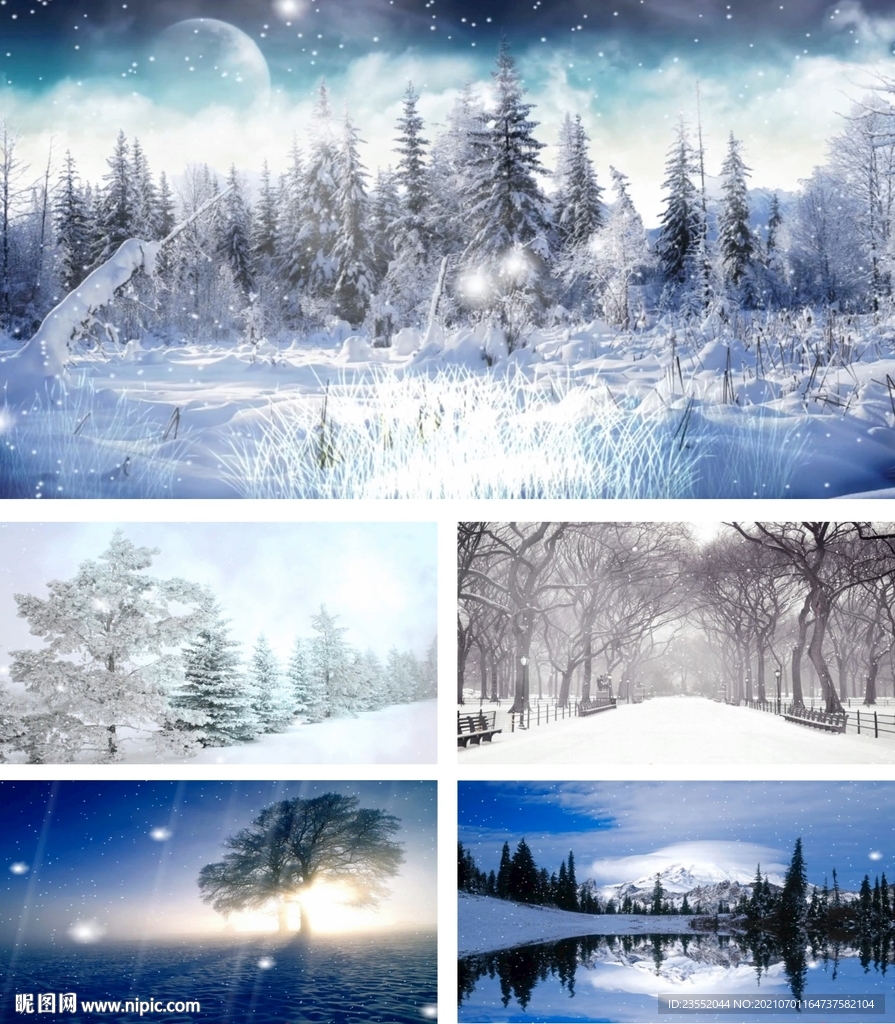 松树林冬日雪景