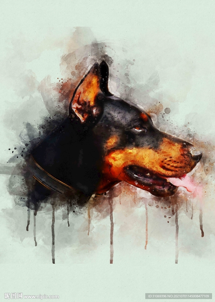 5070电子油画装饰画杜宾犬