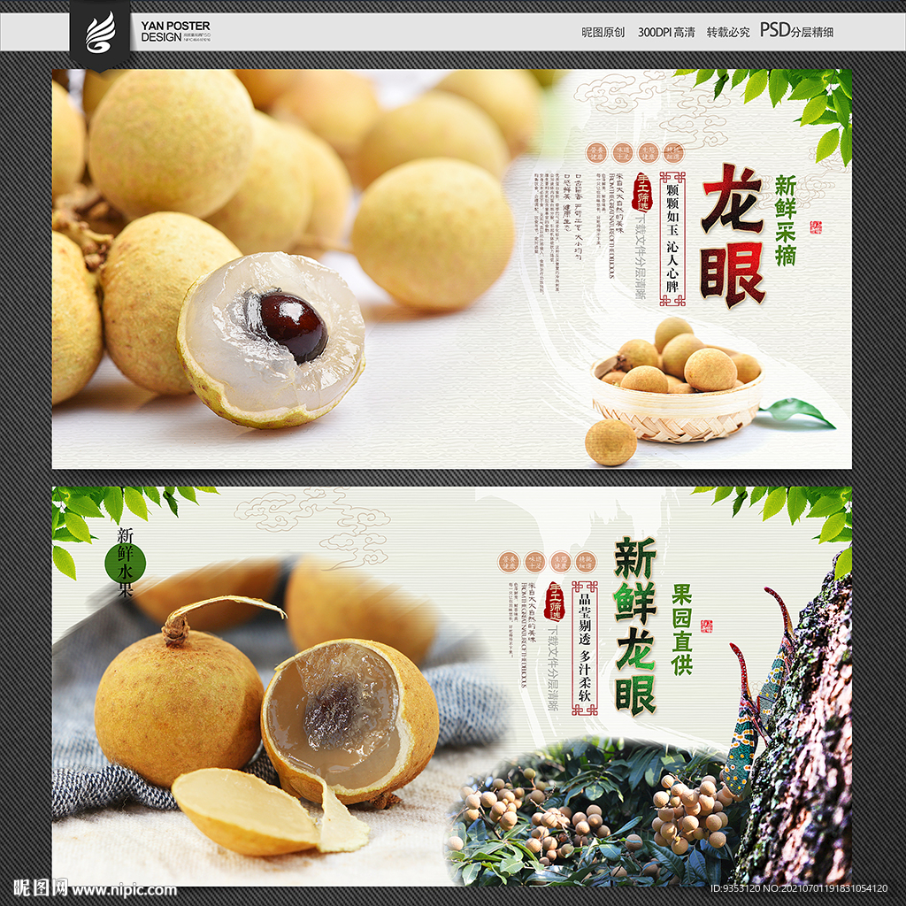 龙眼海报