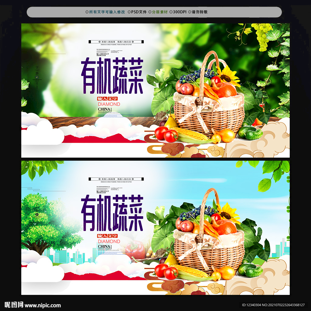 有机蔬菜