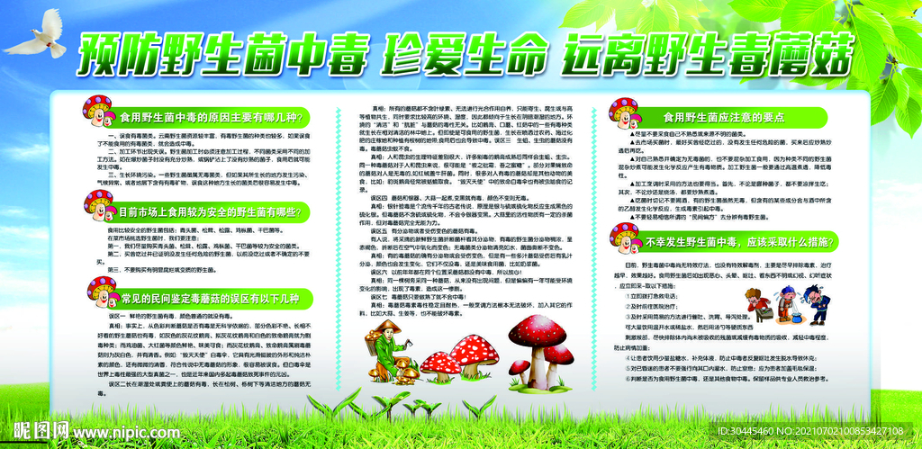 野生菌