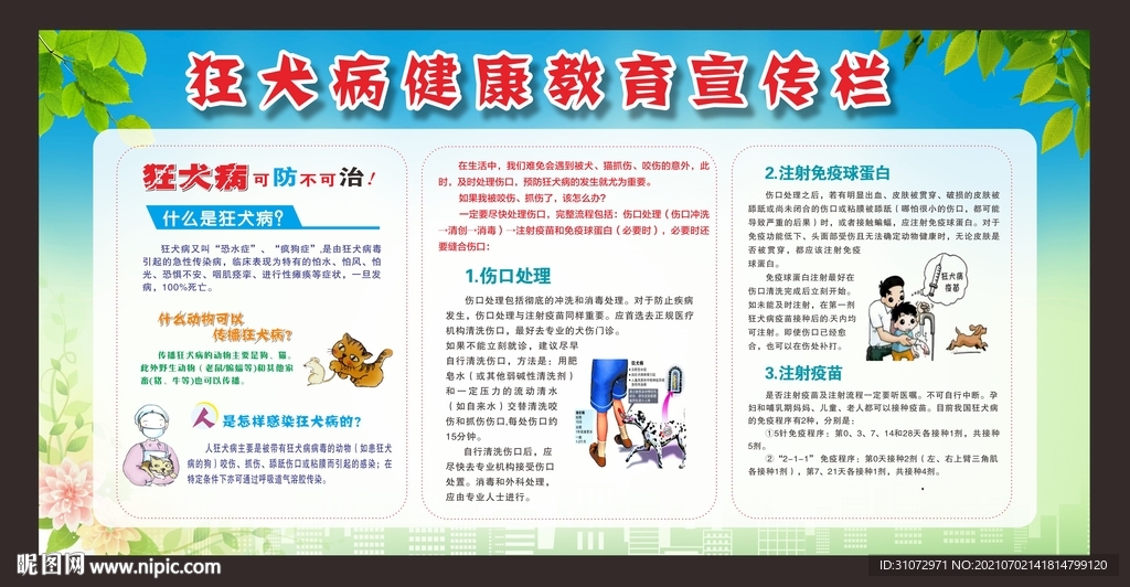 狂犬病健康教育宣传栏