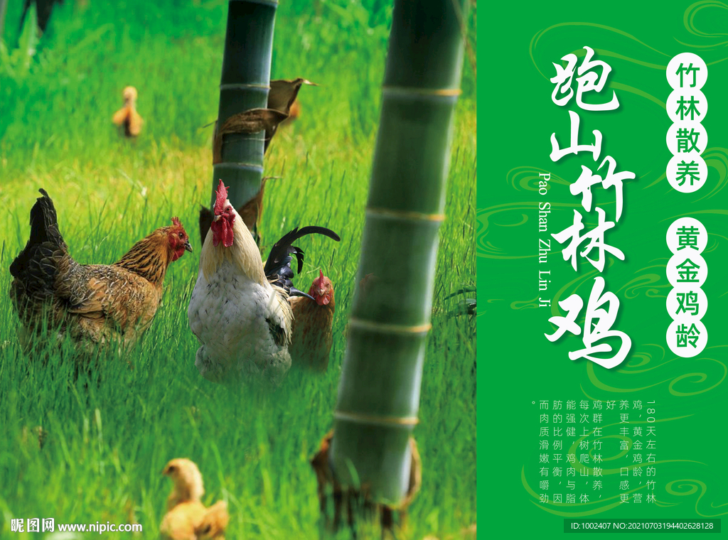 竹林鸡