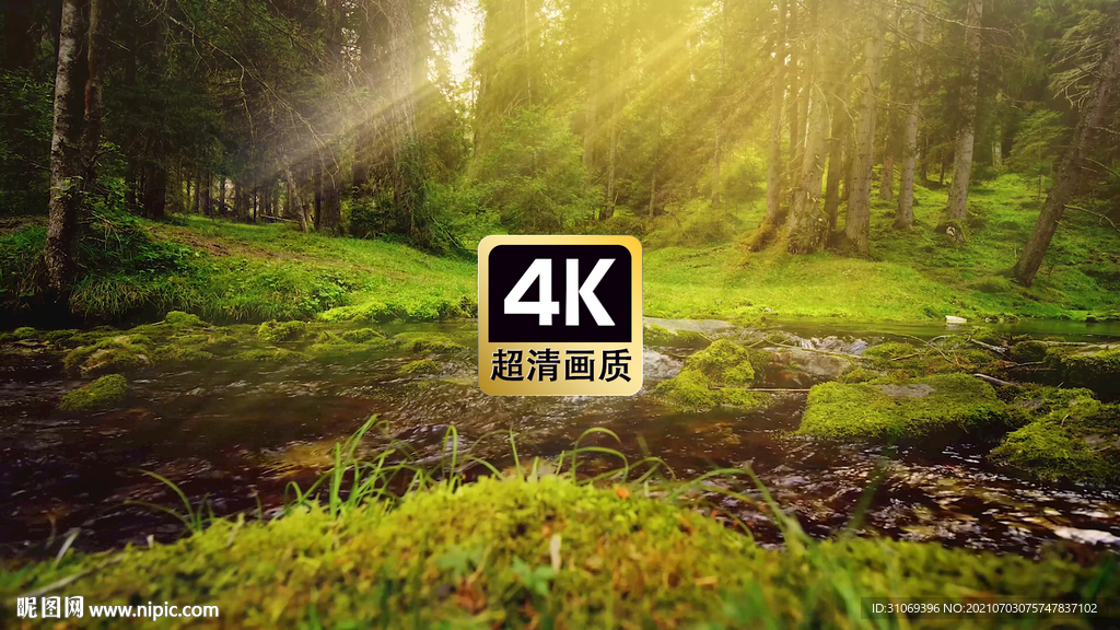 唯美短视频素材霞光森林草地河流