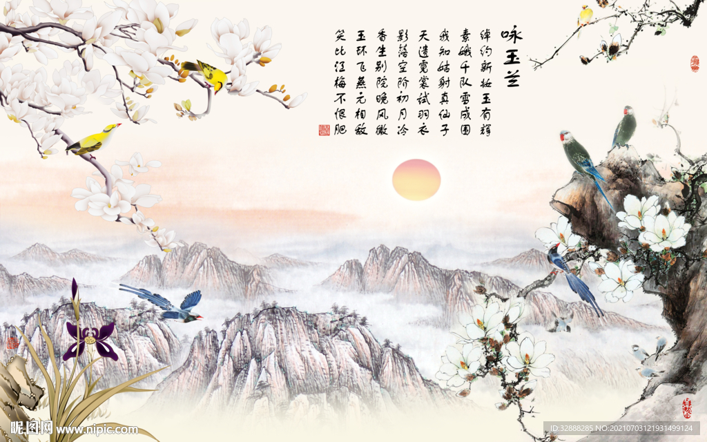 玉兰花