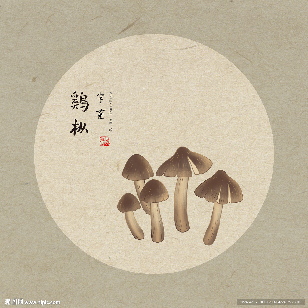 手绘鸡枞
