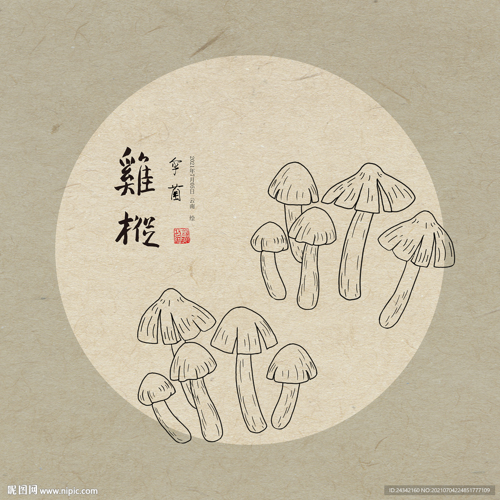 手绘鸡枞