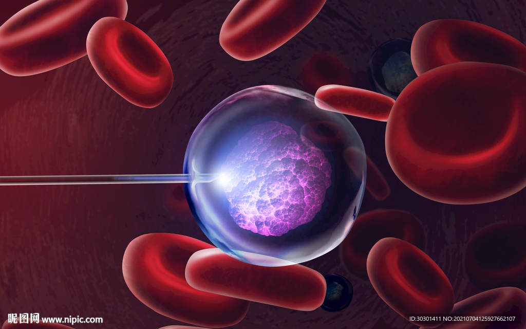 血红细胞治疗感染医疗海报