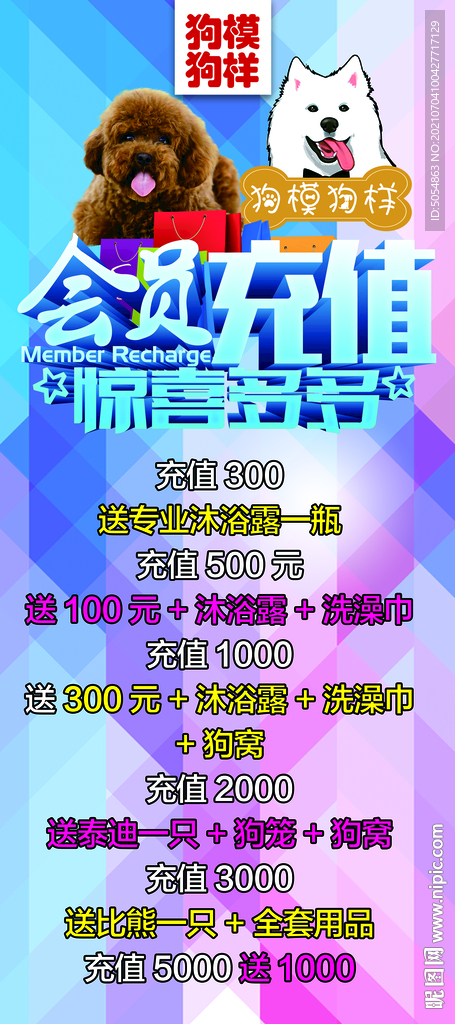 宠物店会员充值展架