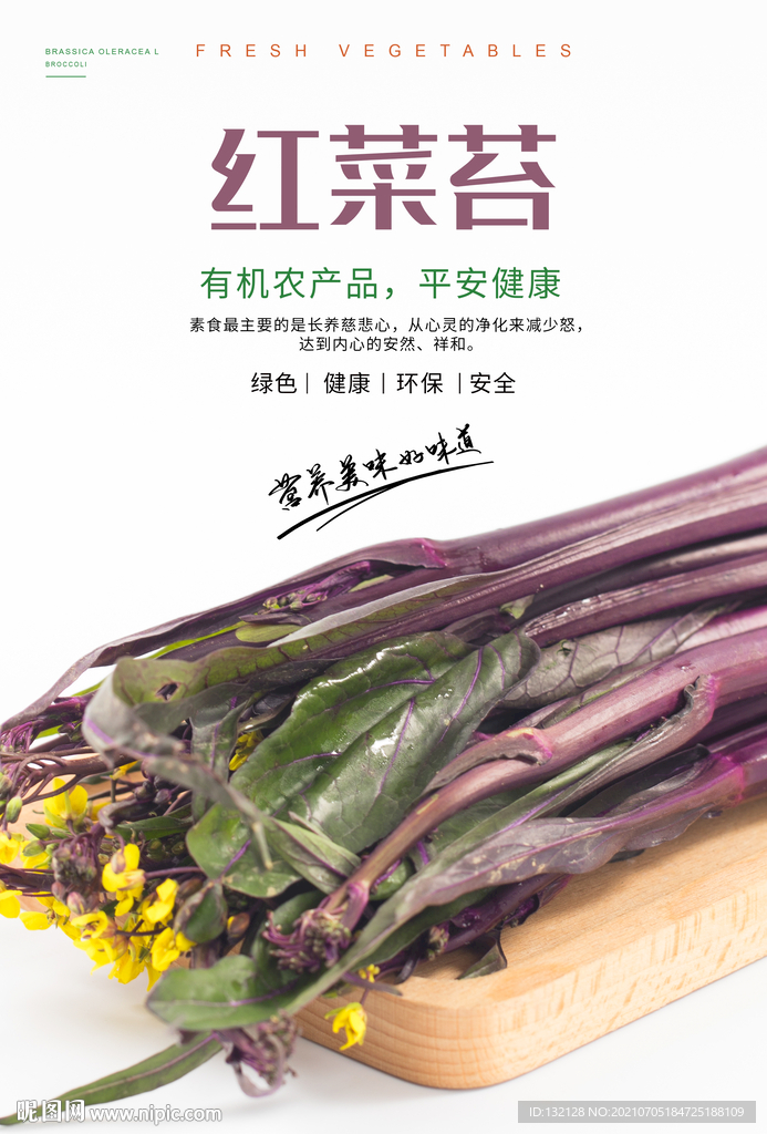 红菜苔海报