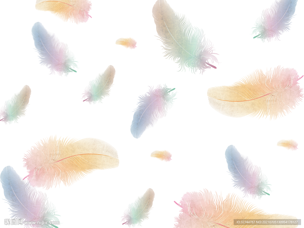 彩色羽毛装饰画