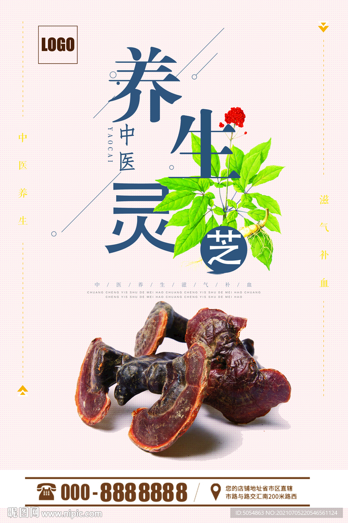 灵芝养生海报