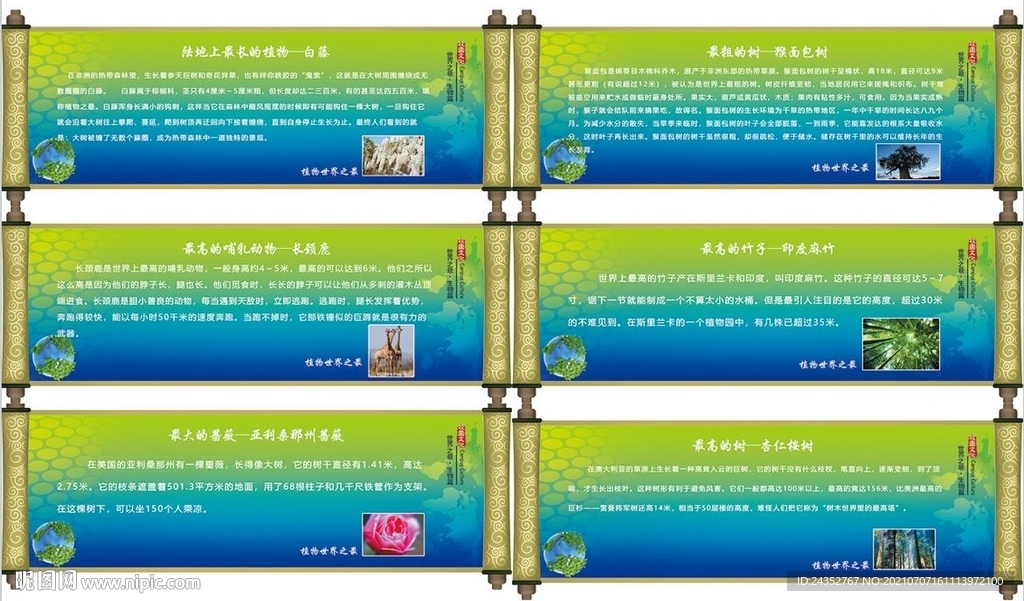 生物展板