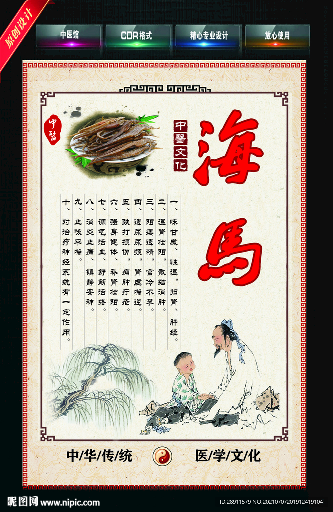 海马 中药材
