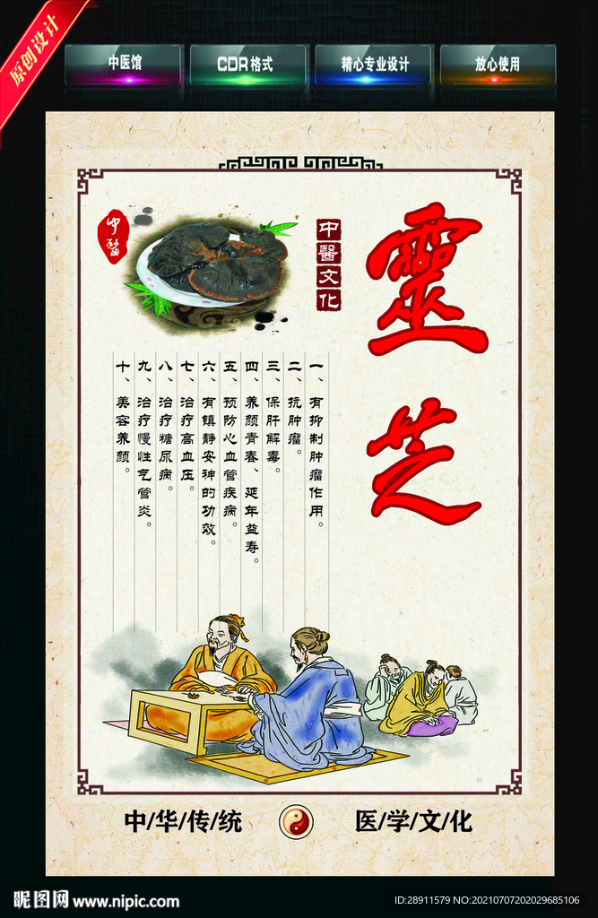 灵芝 中药