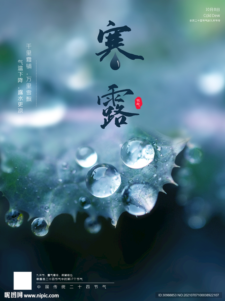 二十四节气寒露海报设计