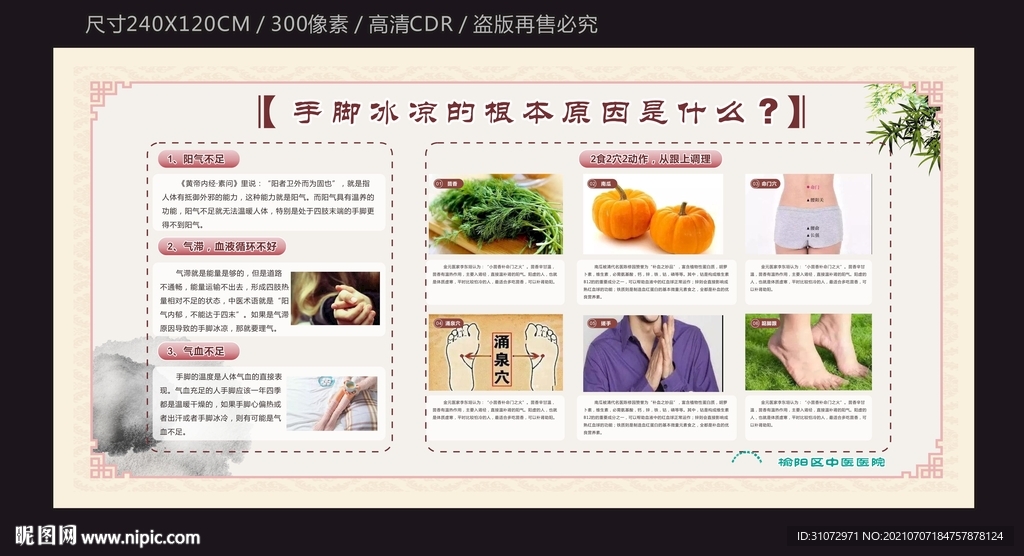中医宣传栏
