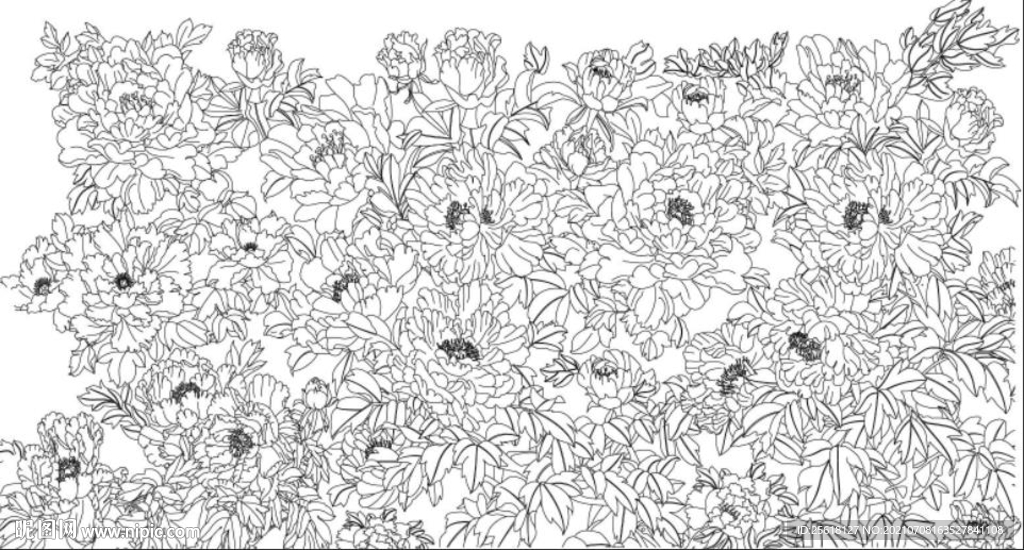 牡丹线描底纹
