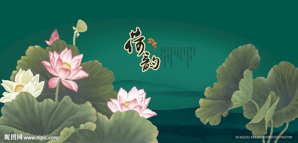 荷花