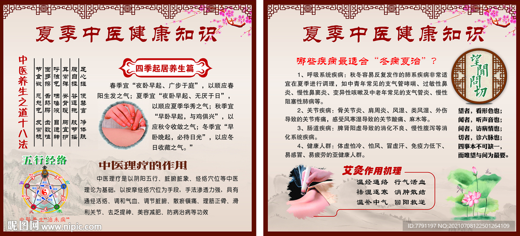 夏季中医健康宣传栏
