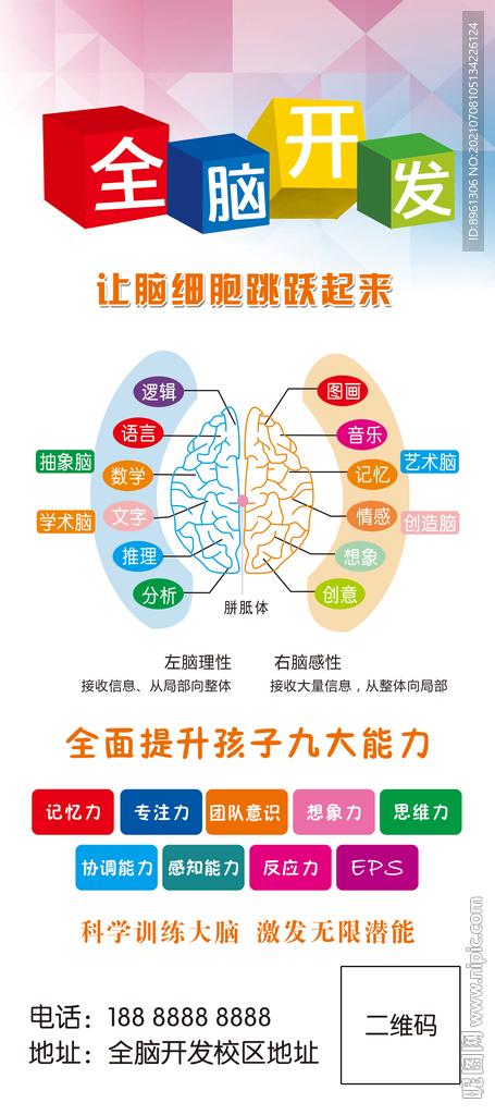 全脑开发展架