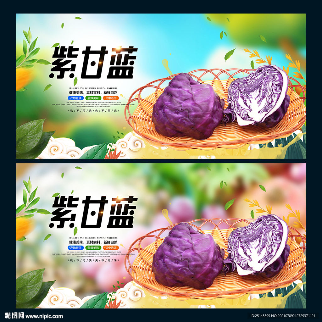 紫甘蓝